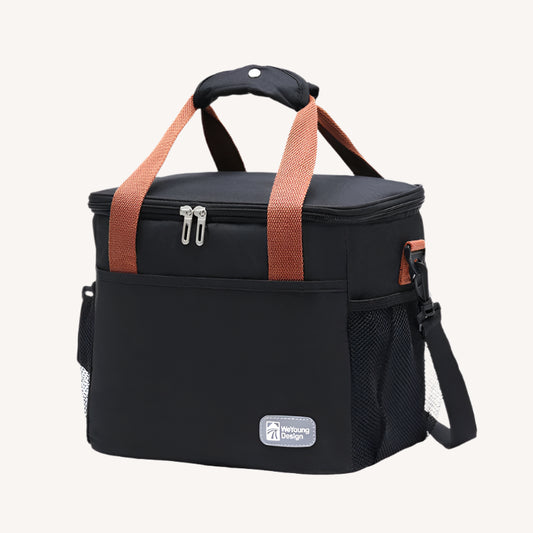 Large capacity Cooler or lunch box
